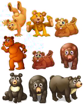 Cute bear movements vector
