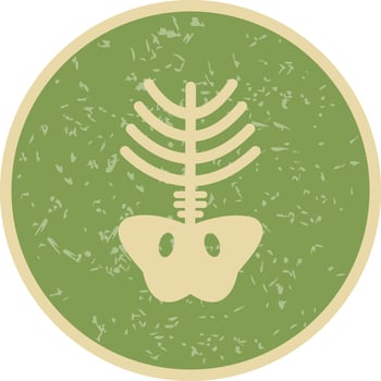 Vector Xray Icon