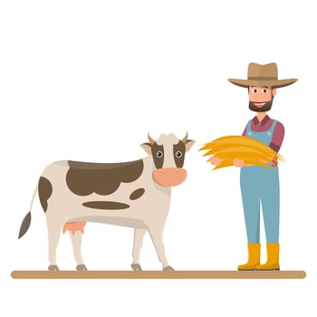 dairy farm, farmer give straw for milk cow vector