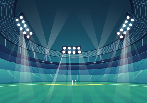 Cricket Stadium vector