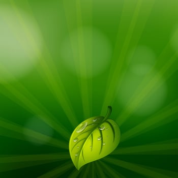 A green colored stationery with a leaf vector