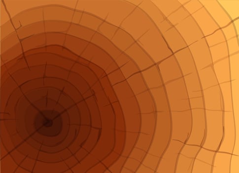 A topview of a table vector