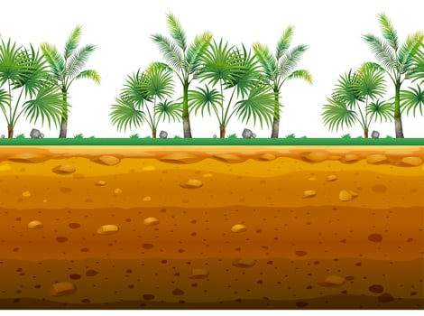 Palm garden on the ground in seamless design vector