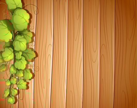 A wooden wall with a vineplant vector
