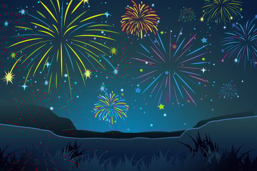 Night scene with fireworks in sky vector