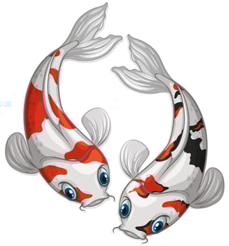 Koi vector