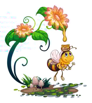 Bee collecting honey from the flower vector