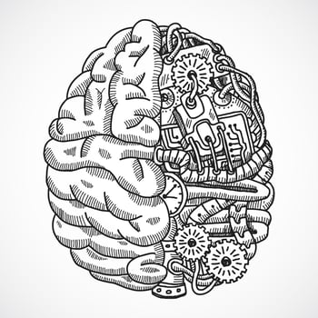 Brain as processing machine vector