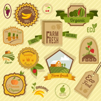 Eco labels fruits vector