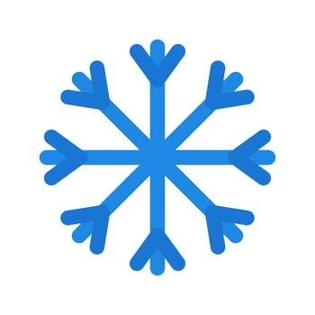 Snow Vector Icon