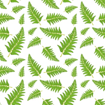 Fern leaf seamless pattern vector