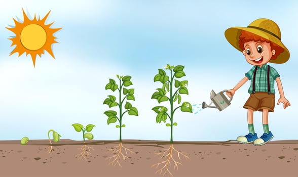 Boy watering plant in garden vector