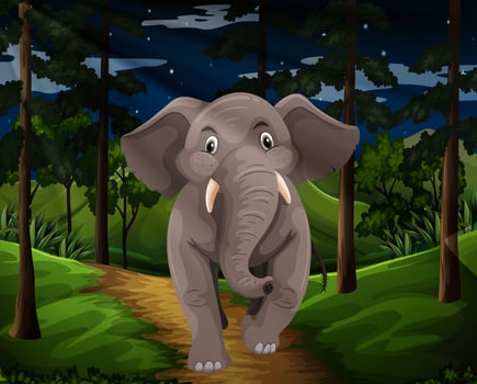 Gray elephant walking in the forest at night vector