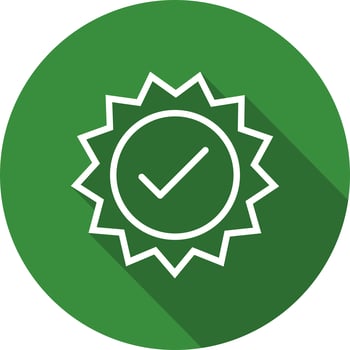 Vector Valid Stamp Icon