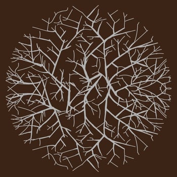 pattern with abstract vector