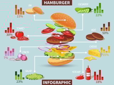 Hamburger ingredients infographic vector