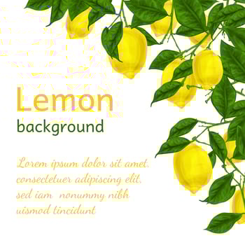 Lemon background poster vector