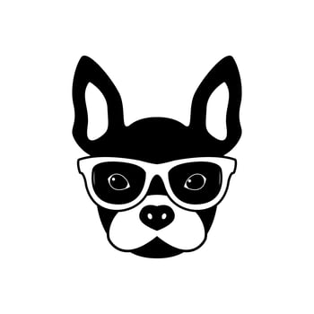 Portrait of french bulldog with glasses vector