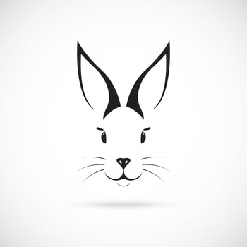 Cute Bunny with big ears.  vector
