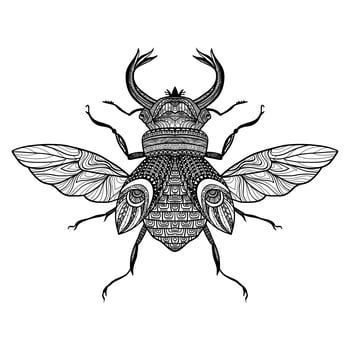 Sketch Decorative Bug vector