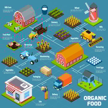 Organic food isometric flowchart vector