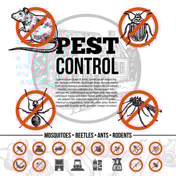 Pest Control Infographics vector