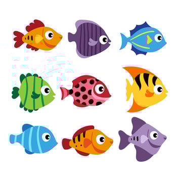 fish matching game vector design
