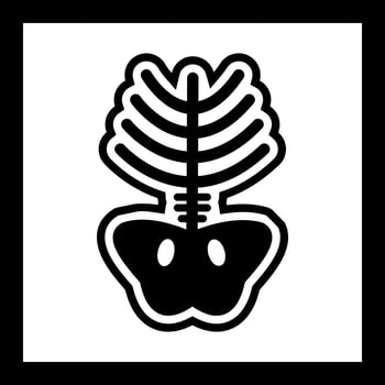 Xray Icon Design vector