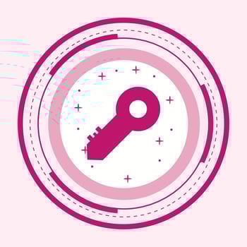  Key Icon Design vector