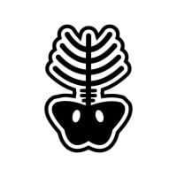Xray Icon Design vector