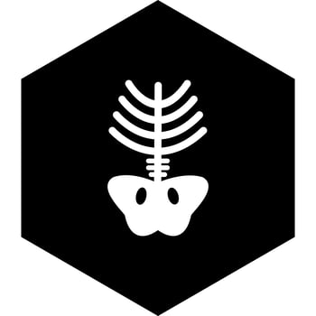Xray Icon Design vector