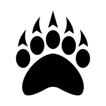 Grizzly bear claw vector illustration