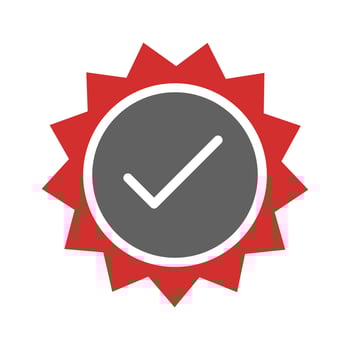 Valid Stamp Icon Design vector