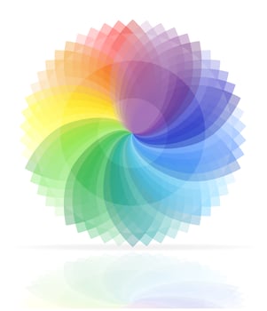 color palette vector illustration