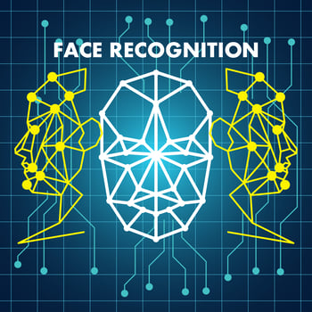 human face recognition scanning system vector