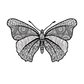 Butterfly isolated. Summer holiday floral element, oriental pattern vector