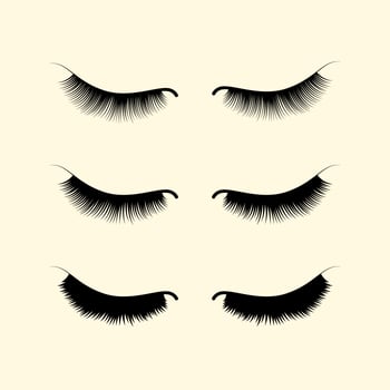 Eyelashes Silhouette Illustration vector