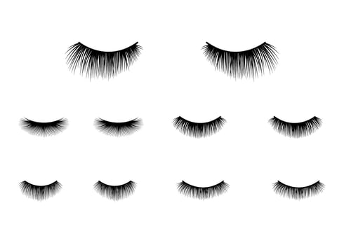 Eyelashes Clipart Vector