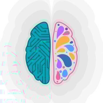 Flat Human Brain Hemispheres  vector