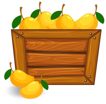 Mango on wooden banner vector