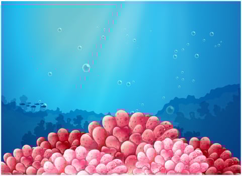 Pink corals under the sea vector