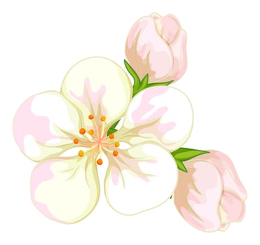 White flowers on white background vector