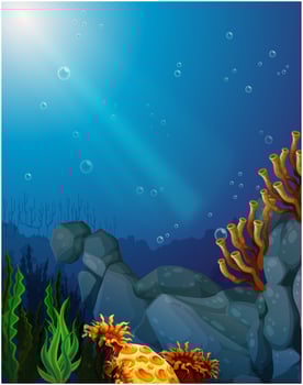 Corals and seaweeds under the sea vector