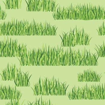 Floral seamless pattern with grass. Meadow tile backdrop vector