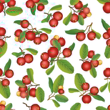Cranberry summer seamless pattern. Berry background. Floral ornament vector