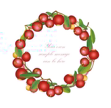 Cranberry summer frame. Berry background. Floral nature food pattern vector