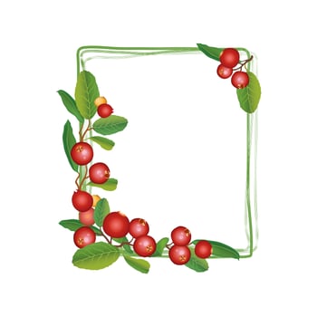 Cranberry summer frame. Berry background. Floral nature food pattern vector