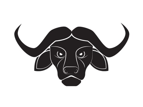 Vector illustration icon buffalo head on white background