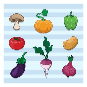 Collection of various vegetables vector