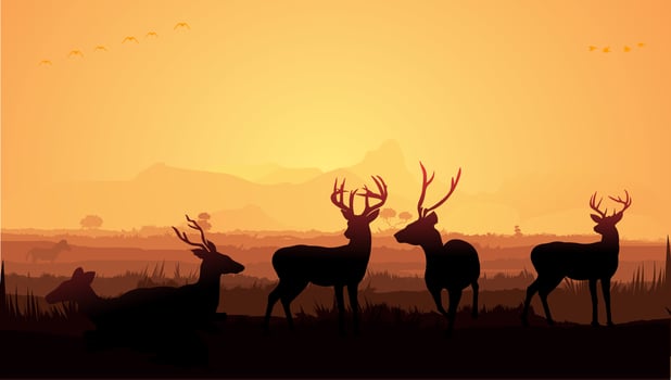 Deer silhouette vector